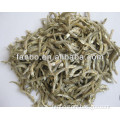 Dried Anchovy Fish Large Stock Available